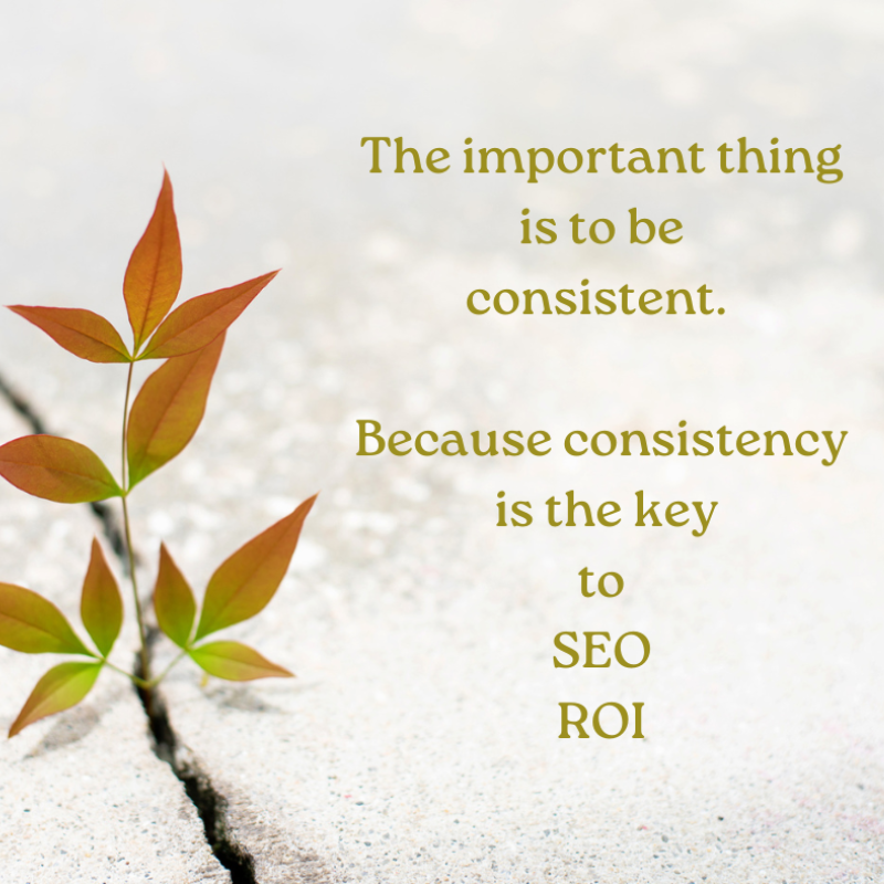 consistency seo for roi be patient